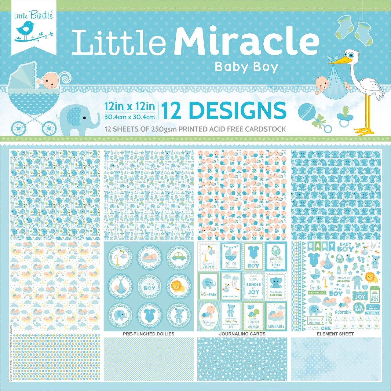 Little Birdie Little Miracle Cardstock Pack 12"X12" 12/Pkg-Baby Boy